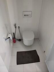 Windy Heights (D14), Condominium #509801461